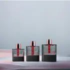 Prada Luna Rossa Carbon 100 ml